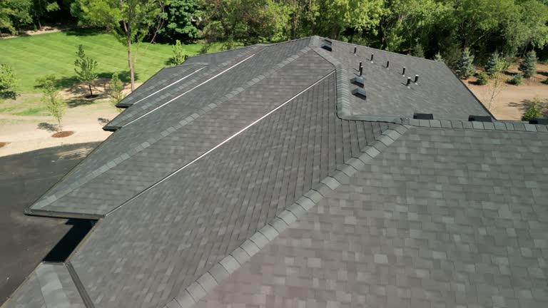 Best Roof Moss and Algae Removal  in Spring Lake, MI
