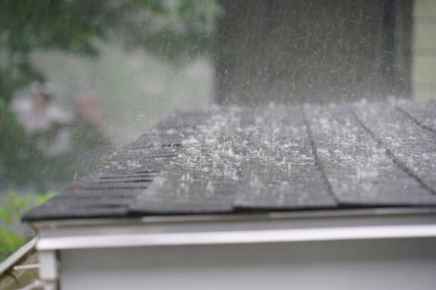 Best Solar Panel Roofing Installation  in Spring Lake, MI