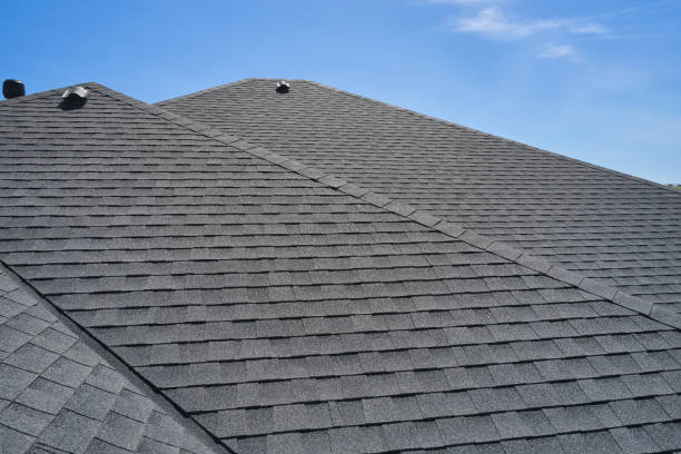 Best Flat Roofing  in Spring Lake, MI